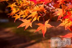 長岡デリヘル長岡人妻市(ナガオカヒトヅマイチ) あんな★おっとりした雰囲気の人妻(38)の10月25日写メブログ「今日出勤でーす！」