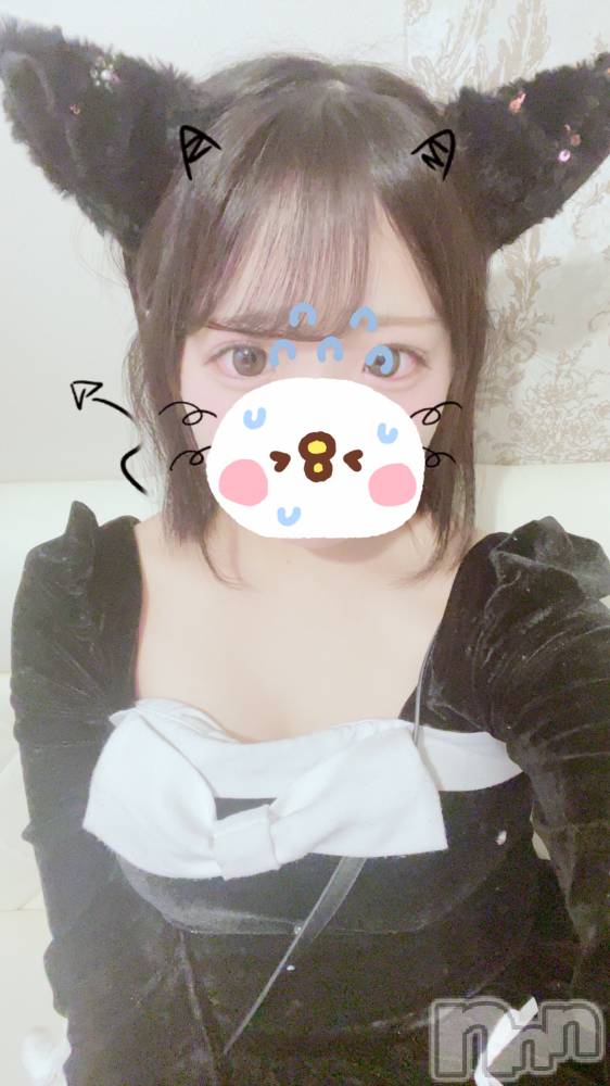 ʥå륺С󥻥ץȥե ˤޤ(󥻥ץȥե˥ޥ륭奦ǥ) Ҥ613̥֥613 2209ʬΥ֥
