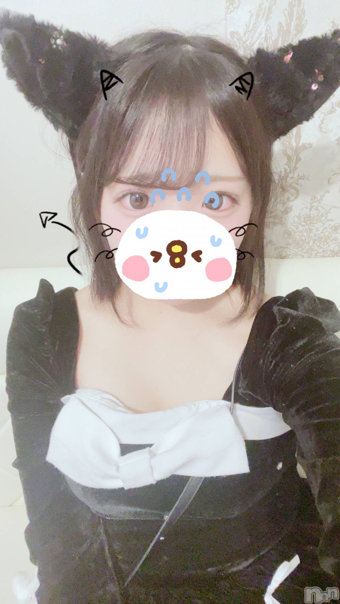 ʥå륺С󥻥ץȥե ˤޤ(󥻥ץȥե˥ޥ륭奦ǥ) 2025ǯ613̥֥613 2209ʬΥ֥