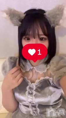 531 2206ʬΥ֥