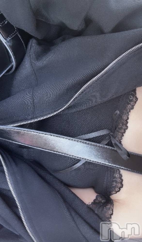 ĮХ顦FOXXY(ե) 430̥֥4⽪