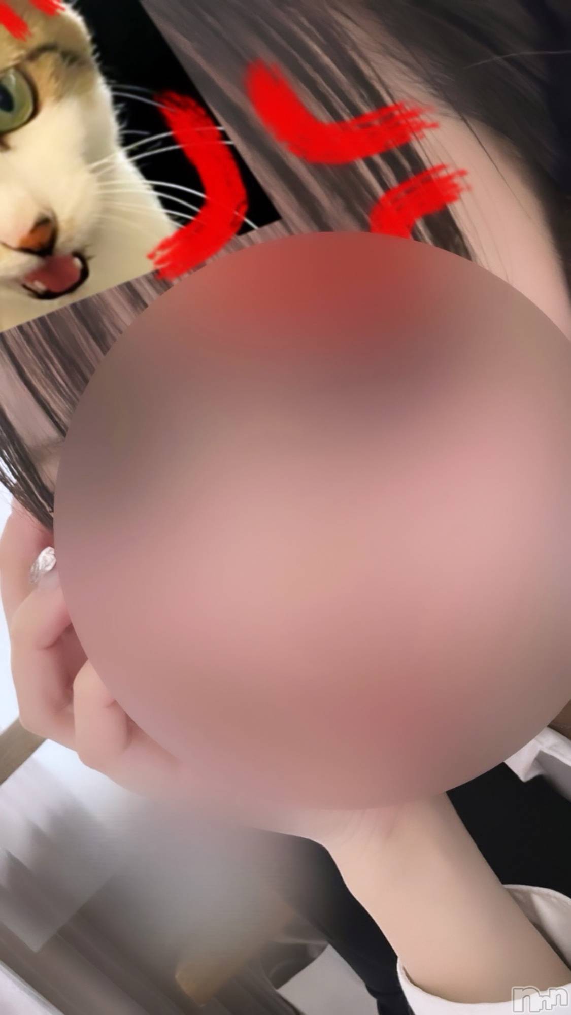 ĮХ顦FOXXY(ե) 2025ǯ426̥֥֥ ᐩᕀ🐇
