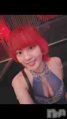 ���ܱ�������Х��顦����� ����� �ץ���� ����(����� �ץ���� �ޥĥ��) ���Ĥ���12��14��ư���˺ǯ�����������