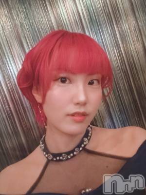 Ĥ(25) Ĺ164cmܱХ顦  ץ ( ץ ޥĥ)ҡ