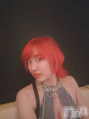 ���ܱ�������Х��顦����֥���� �ץ���� ����(����� �ץ���� �ޥĥ��) ���Ĥ�(25)��12��13���̥�֥�������ȱ��ʷ�ϵ��Ѥ��Ƥߤ���������