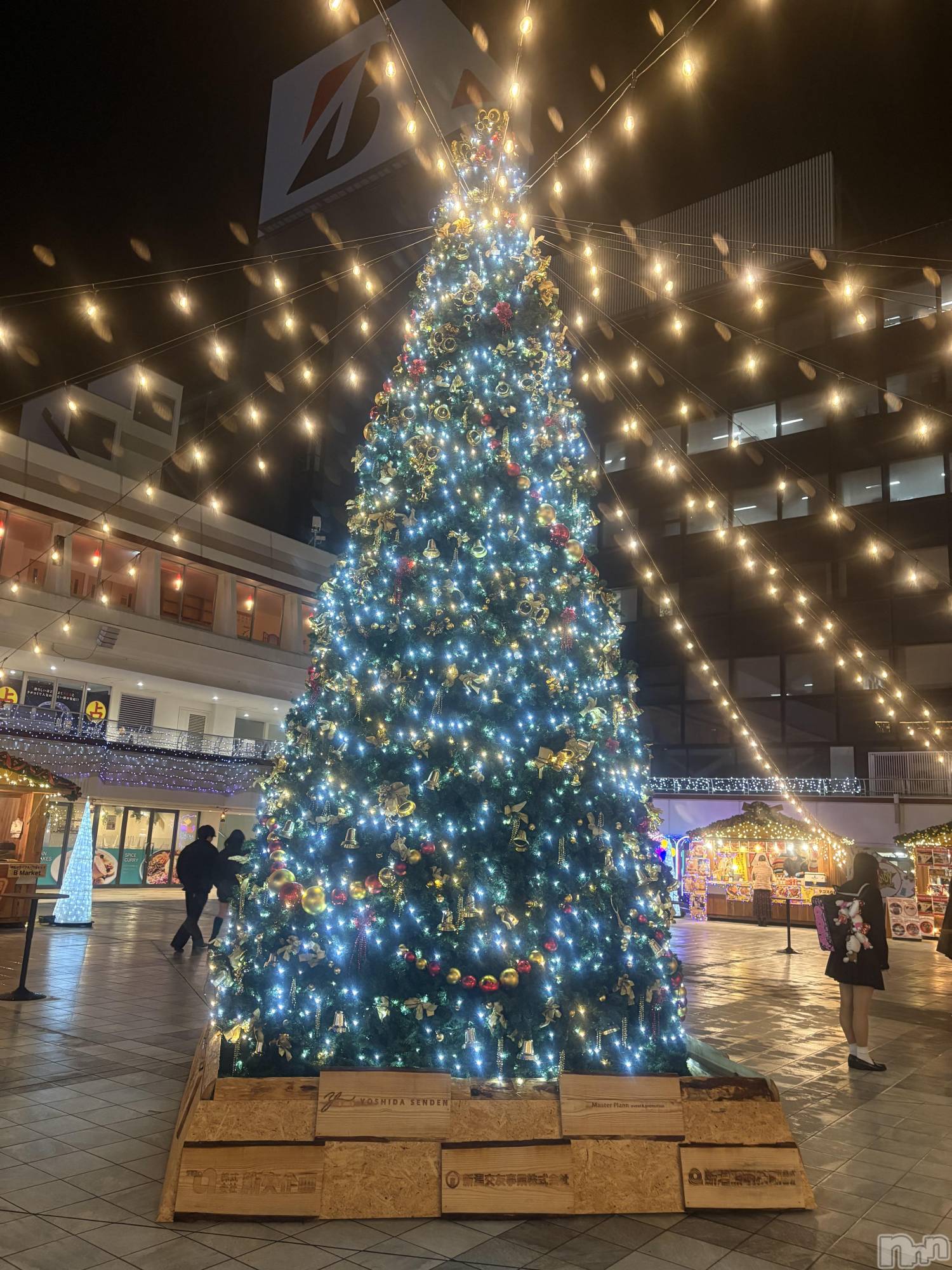 ʥå륺С󥻥ץȥե̴Ѷ~̤⤷ʤ¤~(󥻥ץȥեߥϥ祦) 2025ǯ1212̥֥֤󤰤١