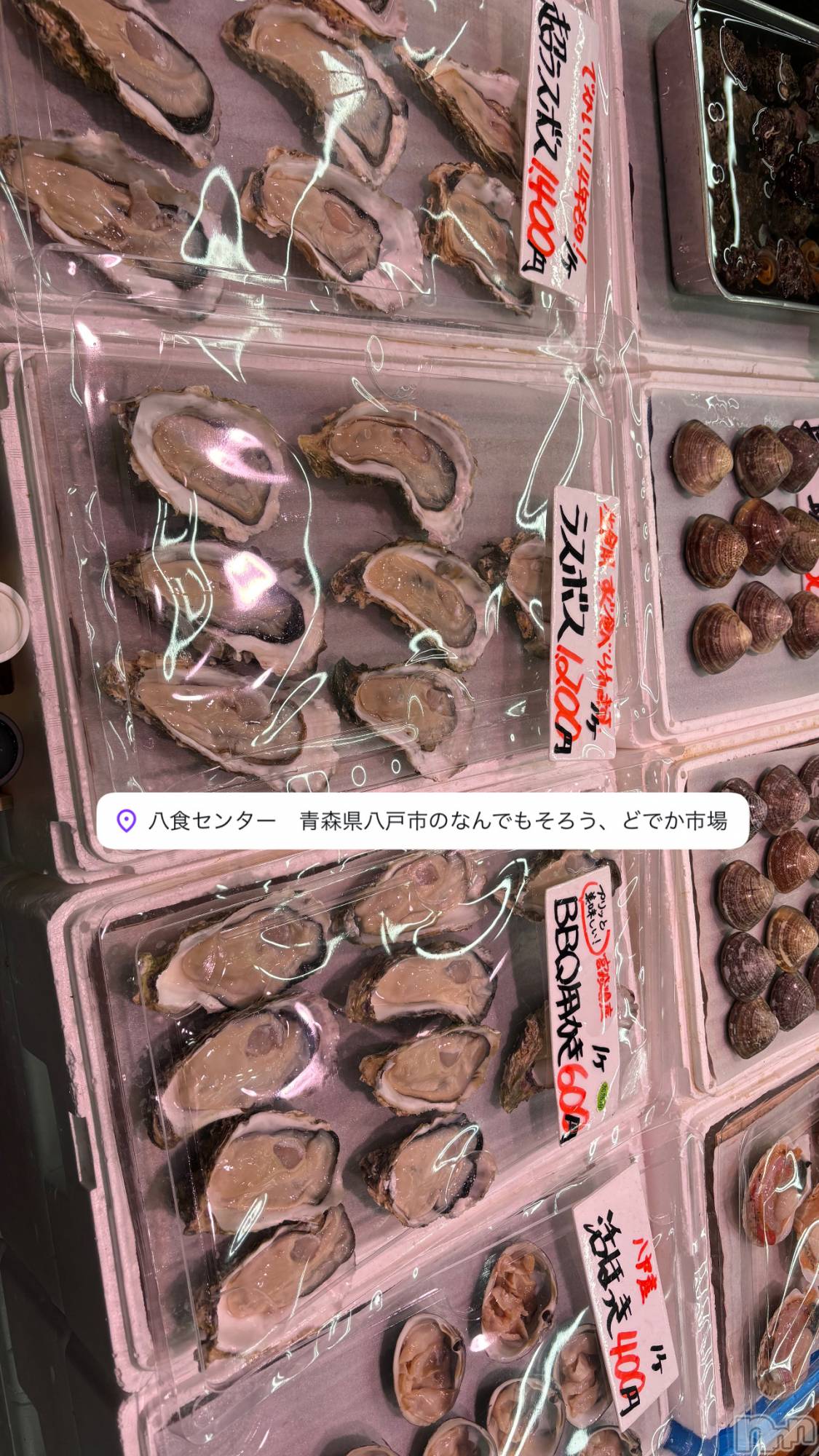 襳ѥ˥󥯥Sugar(奬) 2025ǯ54̥֥Ŀ🦪( '-' 🦪 )