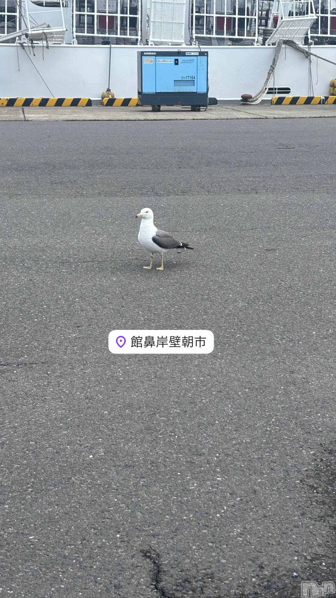 襳ѥ˥󥯥Sugar(奬) 2025ǯ55̥֥ιԺǽ🕊️