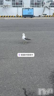 襳ѥ˥󥯥Sugar(奬) 줪(29)55̥֥ιԺǽ🕊️