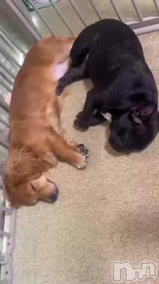 😴💤