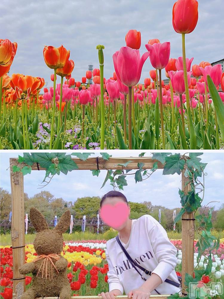 長岡デリヘルBIANCA～主人の知らない私～長岡店(ビアンカナガオカテン) 及川　えれな(38)の4月25日写メブログ「チューリップ⸜🌷︎⸝」