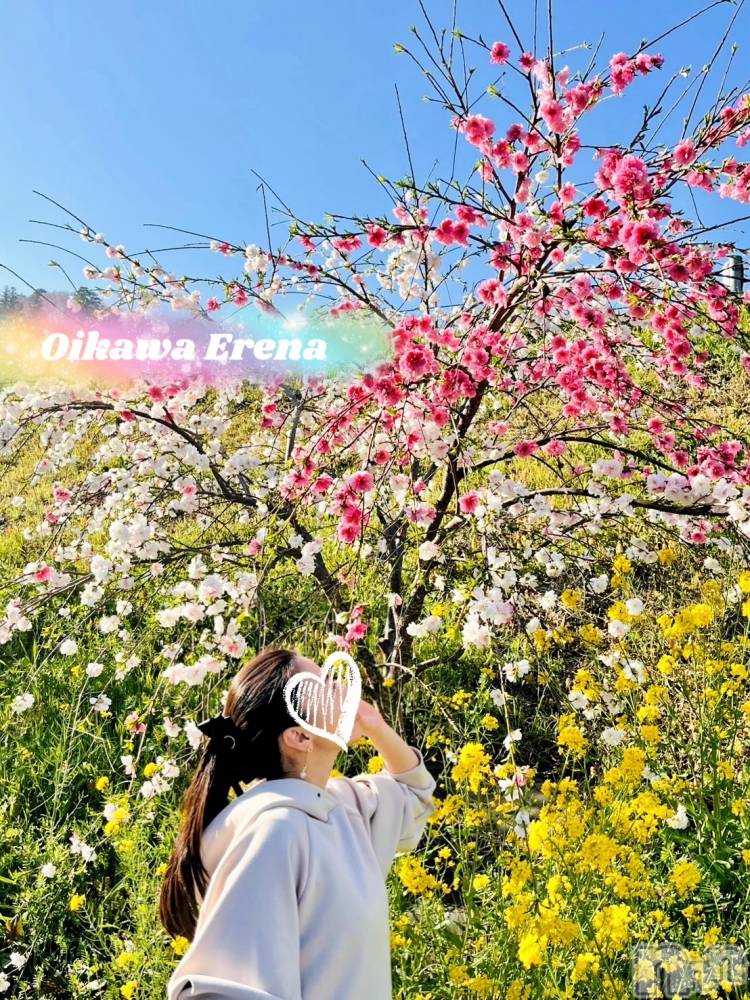 長岡デリヘルBIANCA～主人の知らない私～長岡店(ビアンカナガオカテン) 及川　えれな(38)の4月17日写メブログ「桜じゃないよ‼️」