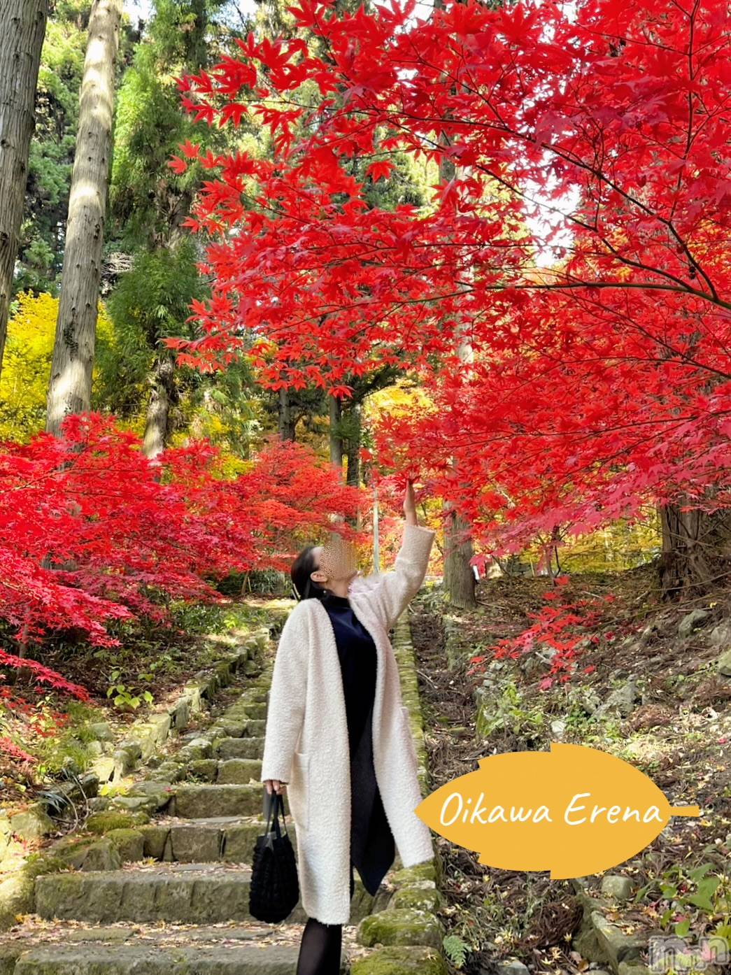 長岡デリヘルBIANCA～主人の知らない私～長岡店(ビアンカナガオカテン)及川　えれな(38)の2025年11月24日写メブログ「紅葉狩り🍁𓂃 𓈒𓏸◌🍁」