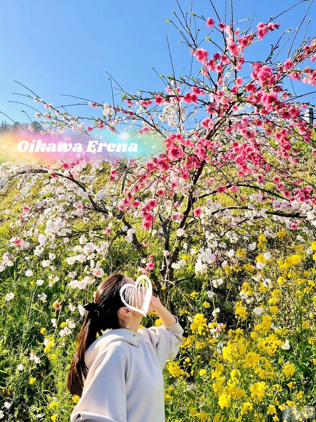 長岡デリヘルBIANCA～主人の知らない私～長岡店(ビアンカナガオカテン)及川　えれな(38)の2026年4月17日写メブログ「桜じゃないよ‼️」