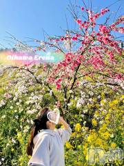 長岡デリヘルBIANCA～主人の知らない私～長岡店(ビアンカナガオカテン) 及川　えれな(38)の4月17日写メブログ「桜じゃないよ‼️」