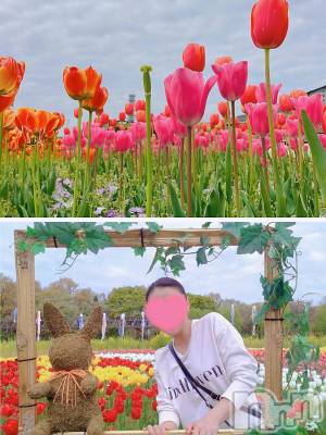 長岡デリヘル BIANCA～主人の知らない私～長岡店(ビアンカナガオカテン) 及川　えれな(38)の4月25日写メブログ「チューリップ⸜🌷︎⸝」