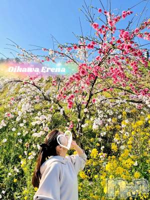 長岡デリヘル BIANCA～主人の知らない私～長岡店(ビアンカナガオカテン) 及川　えれな(38)の4月17日写メブログ「桜じゃないよ‼️」