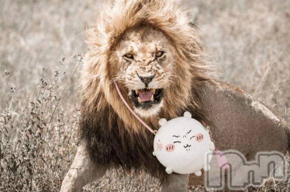 新潟デリヘル熟女の風俗 最終章(ジュクジョノフウゾクサイシュウショウ)くるみ(29)の2026年2月26日写メブログ「ちいかわくじ！」