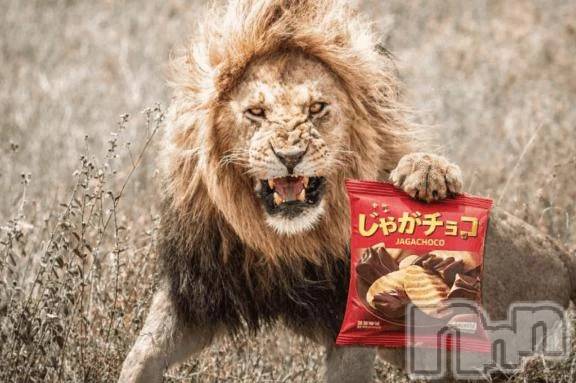 新潟デリヘル熟女の風俗 最終章(ジュクジョノフウゾクサイシュウショウ)くるみ(29)の2026年3月5日写メブログ「差し入れのお話！」