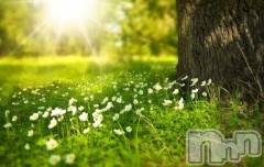 新潟デリヘル熟女の風俗 最終章(ジュクジョノフウゾクサイシュウショウ) くるみ(29)の6月18日写メブログ「本日はありがとうございました‼️」