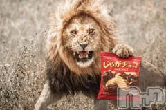 新潟デリヘル熟女の風俗 最終章(ジュクジョノフウゾクサイシュウショウ) くるみ(29)の3月5日写メブログ「差し入れのお話！」