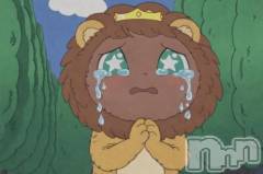 新潟デリヘル熟女の風俗 最終章(ジュクジョノフウゾクサイシュウショウ) くるみ(29)の3月14日写メブログ「～本日出勤取りやめ😭～」