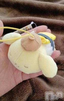 新潟デリヘル 熟女の風俗 最終章(ジュクジョノフウゾクサイシュウショウ) くるみ(29)の12月20日写メブログ「楽しい･タノシイ･愉しスギルッ！！」