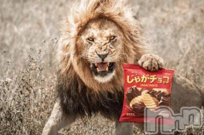 新潟デリヘル 熟女の風俗 最終章(ジュクジョノフウゾクサイシュウショウ) くるみ(29)の3月5日写メブログ「差し入れのお話！」