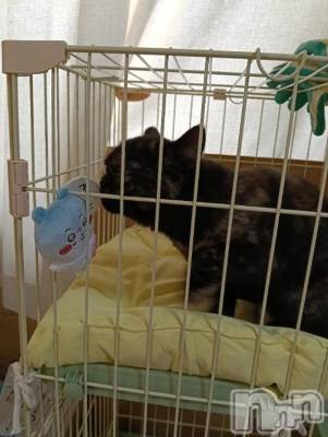 新潟デリヘル 熟女の風俗 最終章(ジュクジョノフウゾクサイシュウショウ) くるみ(29)の8月3日写メブログ「本日お休みします」