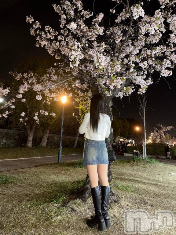 長岡デリヘルROOKIE(ルーキー) なぎ☆プラチナ(23)の4月27日写メブログ「焦らした先に、、、♡」