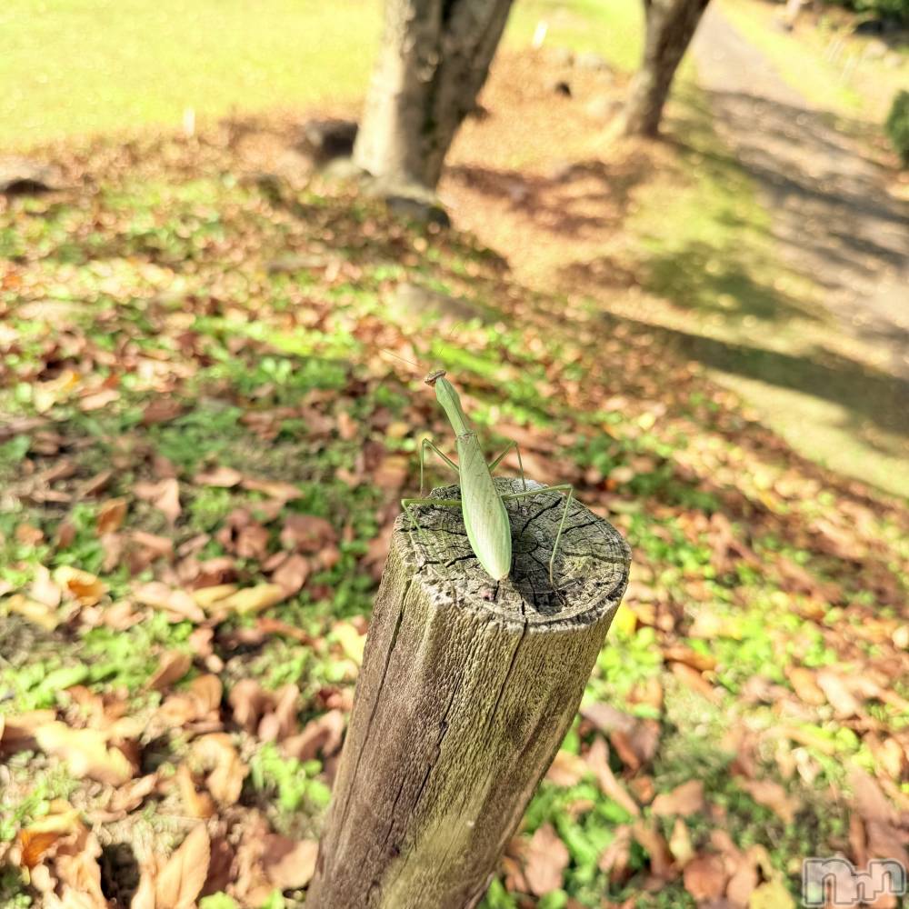 ƲХ顦Lounge Veranda(饦󥸥٥) 117̥֥117 2130ʬΥ֥