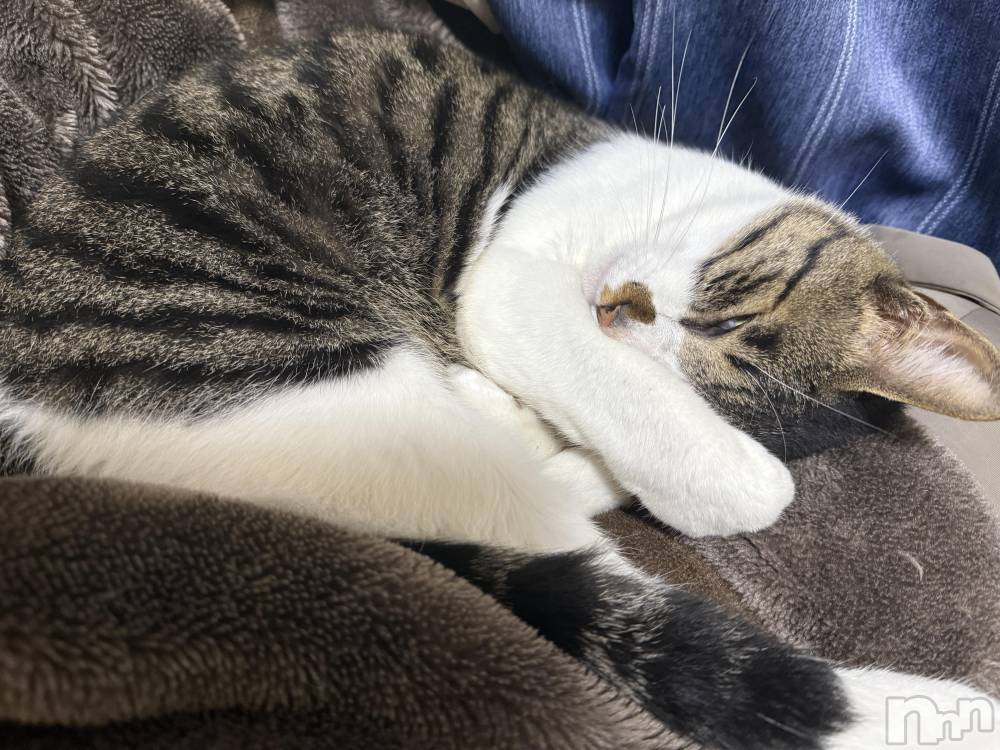 ƲХ顦Lounge Veranda(饦󥸥٥) 1110̥֥1110 2002ʬΥ֥