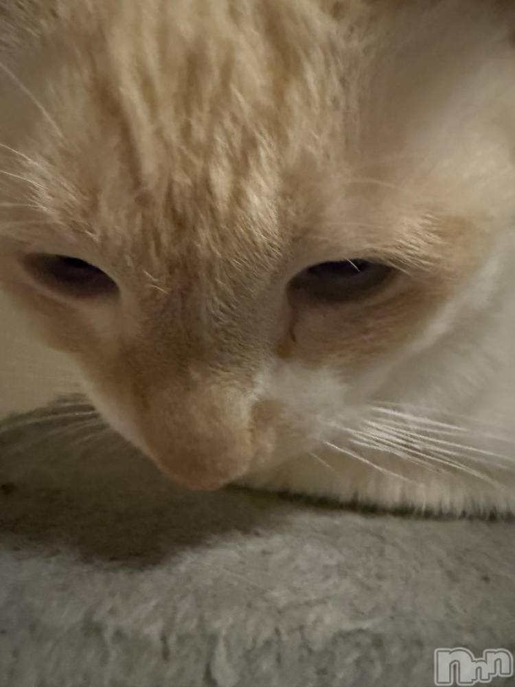 ��Ʋ����Х��顦�����Lounge Veranda(�饦�󥸥٥���) ������12��18���̥�֥����֤Ĥ��˽���Ϥ��ޤ뤥•̥  ̫ •̥��