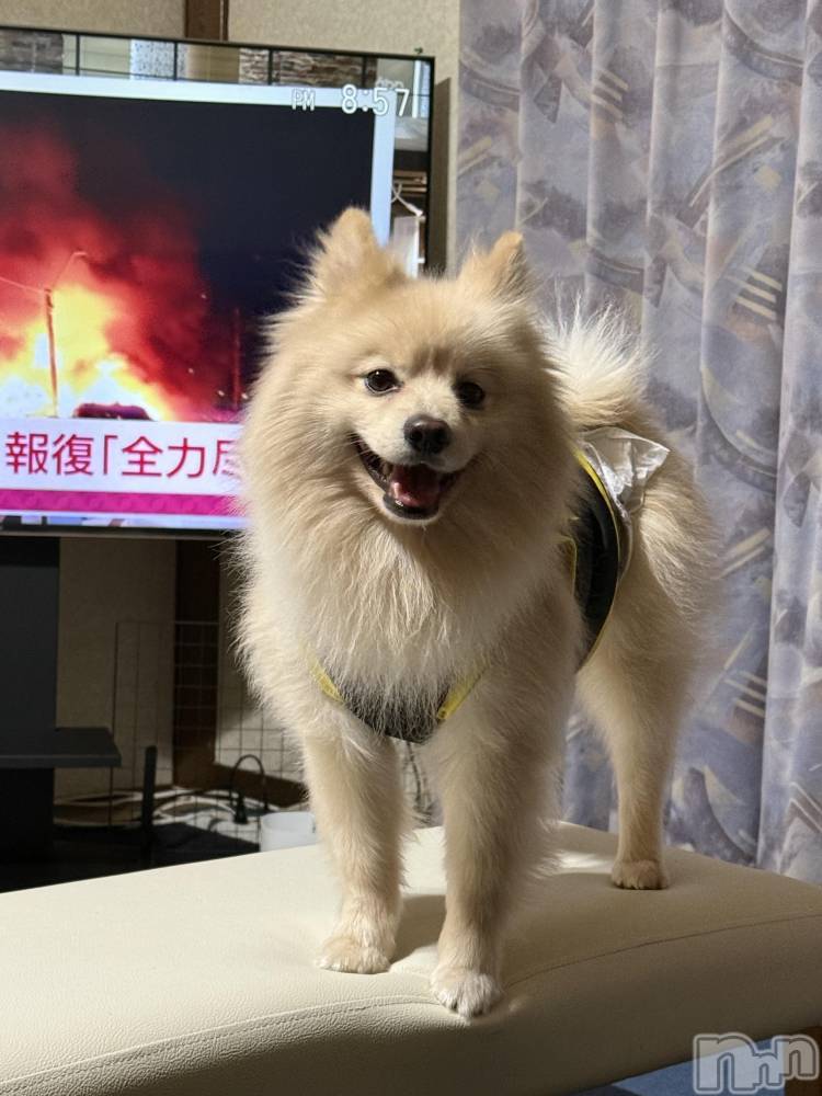 ��Ʋ����Х��顦�����Lounge Veranda(�饦�󥸥٥���) ������3��2���̥�֥����֤��뤪��