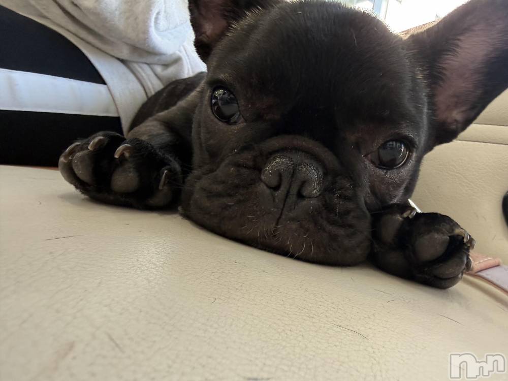 ��Ʋ����Х��顦�����Lounge Veranda(�饦�󥸥٥���) ������3��17���̥�֥�����3��17�� 22��16ʬ�Υ֥�����