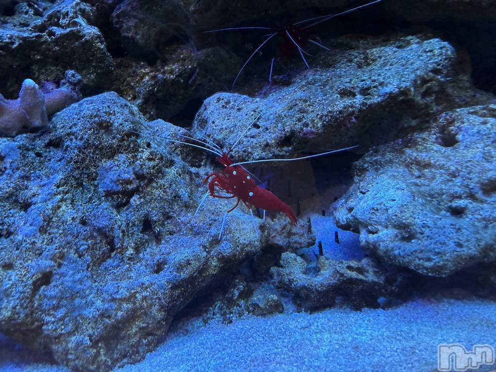 ��Ʋ����Х��顦�����Lounge Veranda(�饦�󥸥٥���) ������4��8���̥�֥�����4��8�� 19��38ʬ�Υ֥�����