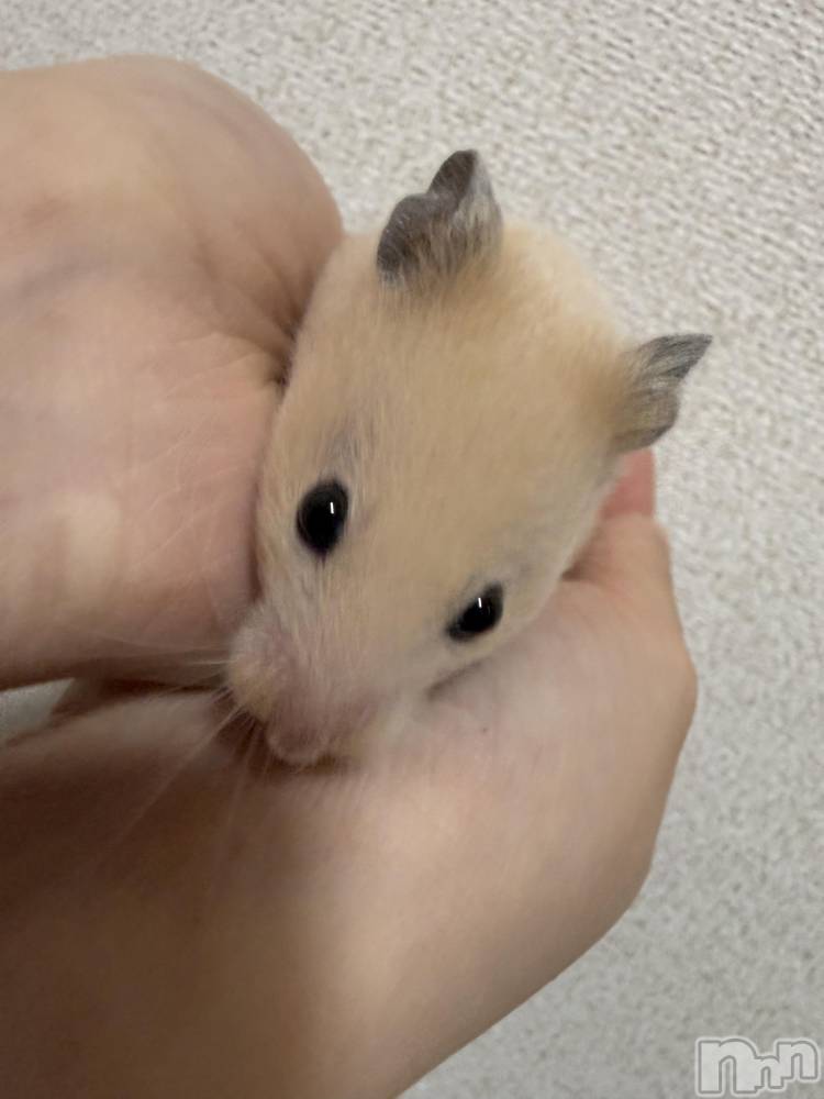 ��Ʋ����Х��顦�����Lounge Veranda(�饦�󥸥٥���) ������4��10���̥�֥�����4��10�� 20��27ʬ�Υ֥�����