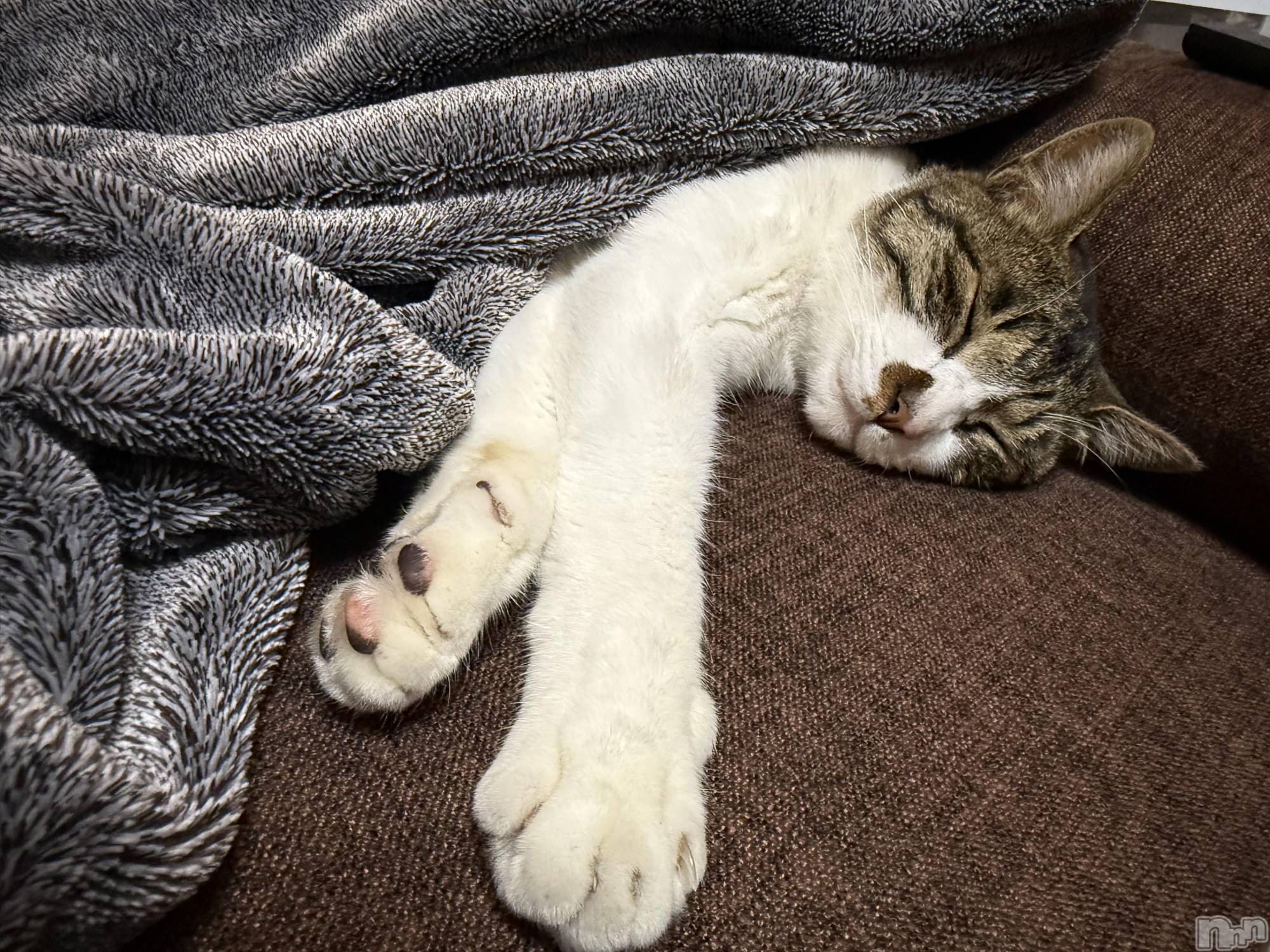 ��Ʋ����Х��顦�����Lounge Veranda(�饦�󥸥٥���) ��2025ǯ12��23���̥�֥����֥��󥿤�����衼���