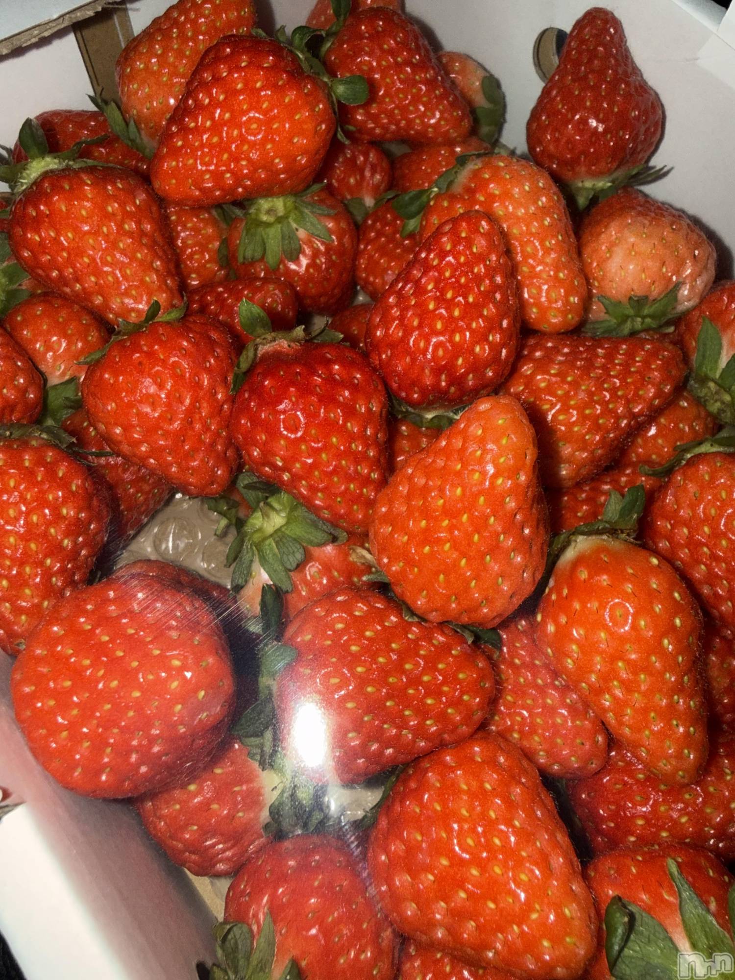 ��Ʋ����Х��顦�����Lounge Veranda(�饦�󥸥٥���) ��2026ǯ3��19���̥�֥�����3��19�� 20��04ʬ�Υ֥�����