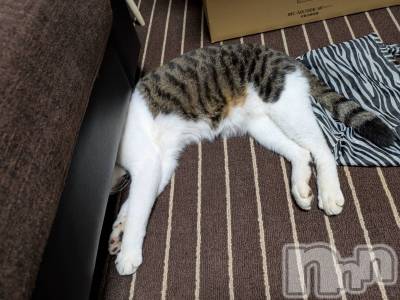 ƲХ顦Lounge Veranda(饦󥸥٥) 1016̥֥1016 1938ʬΥ֥