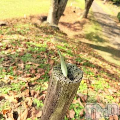 ƲХ顦Lounge Veranda(饦󥸥٥) 117̥֥117 2130ʬΥ֥