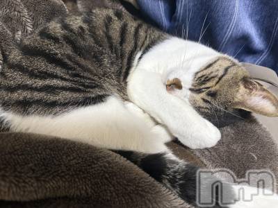 ƲХ顦Lounge Veranda(饦󥸥٥) 1110̥֥1110 2002ʬΥ֥