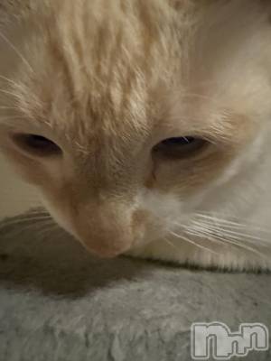 ��Ʋ����Х��顦�����Lounge Veranda(�饦�󥸥٥���) ������12��18���̥�֥����֤Ĥ��˽���Ϥ��ޤ뤥•̥  ̫ •̥��