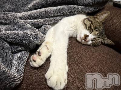 ��Ʋ����Х��顦�����Lounge Veranda(�饦�󥸥٥���) ������12��23���̥�֥����֥��󥿤�����衼���