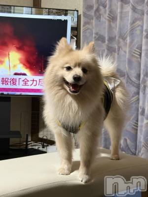 ��Ʋ����Х��顦�����Lounge Veranda(�饦�󥸥٥���) ������3��2���̥�֥����֤��뤪��