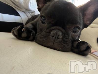 ��Ʋ����Х��顦�����Lounge Veranda(�饦�󥸥٥���) ������3��17���̥�֥�����3��17�� 22��16ʬ�Υ֥�����