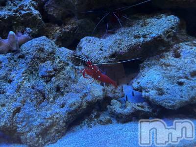 ��Ʋ����Х��顦�����Lounge Veranda(�饦�󥸥٥���) ������4��8���̥�֥�����4��8�� 19��38ʬ�Υ֥�����