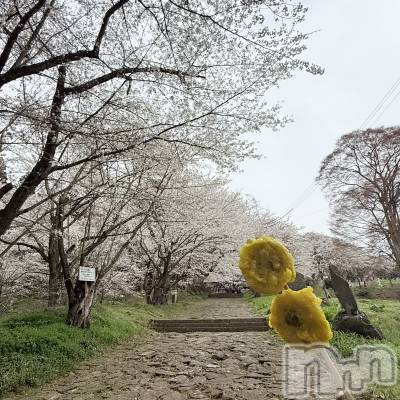 ��Ʋ����Х��顦�����Lounge Veranda(�饦�󥸥٥���) ������4��9���̥�֥�����4��9�� 21��51ʬ�Υ֥�����