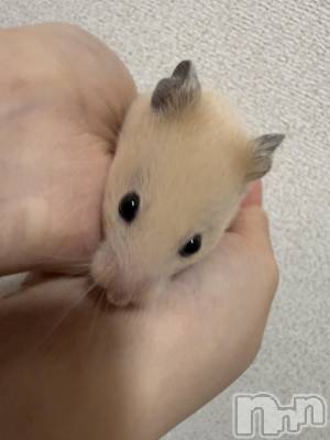 ��Ʋ����Х��顦�����Lounge Veranda(�饦�󥸥٥���) ������4��10���̥�֥�����4��10�� 20��27ʬ�Υ֥�����