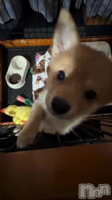 2��14�� 08��38ʬ��ư��